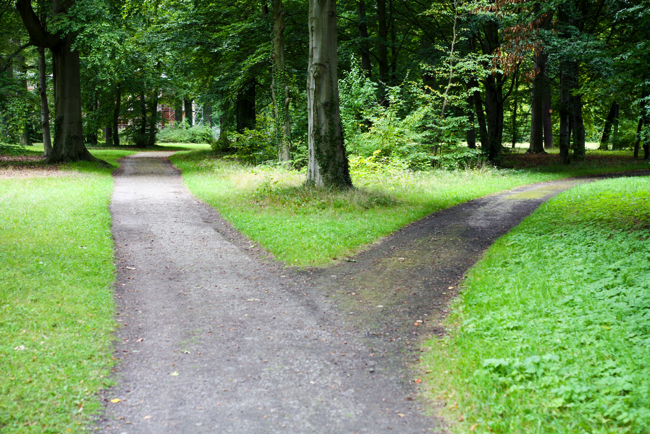 shutterstock_38884159 copy