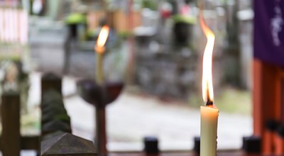 shutterstock_260077373 copy