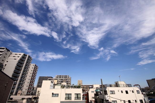 shutterstock_59779645 copy