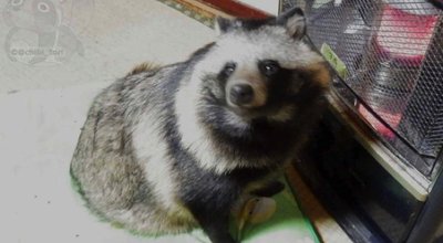 CYnLAO1UAAAbrUs copy