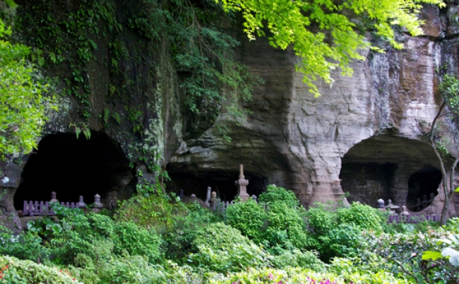 shutterstock_102058840 copy