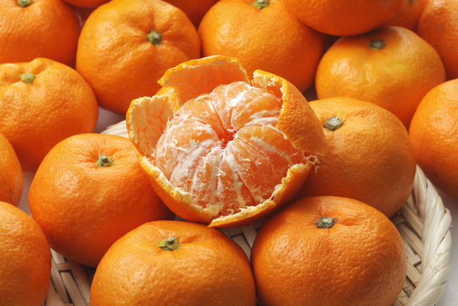 shutterstock_357852665 copy