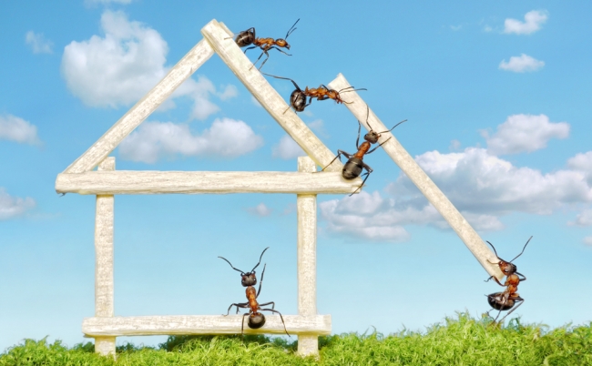 shutterstock_59797834