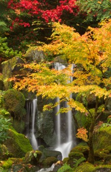 C Fall - Heavenly Falls (WIlliam Sutton)