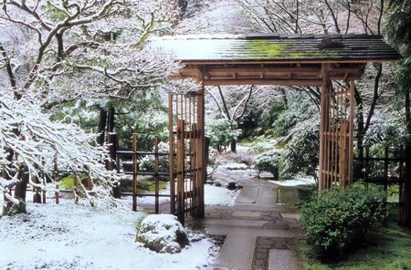 Tea House Gate Winter