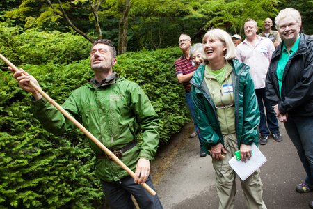 Maple Pruning Workshop, Photo by Jonathan Ley