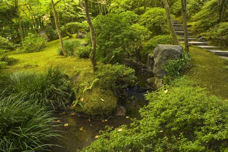 Japanese Garden, fall Portland, OR,
