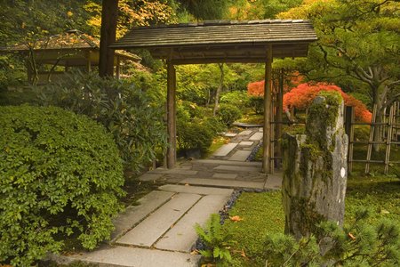 Japanese Garden, fall Portland, OR,
