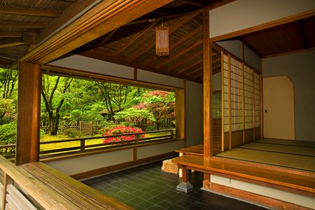 Tea Garden, fall (photo credit David Cobb)