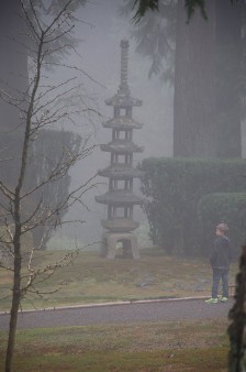 Young boy at a foggy Sapporo Lantern. Photo by Tyler Quinn