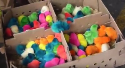 ***d1374c84441f2f0d74157e138d11-640x339