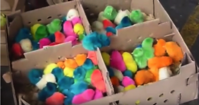 ***d1374c84441f2f0d74157e138d11-640x339