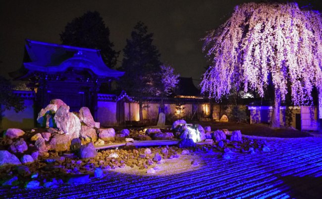 夜桜 京都 【2022年最新】京都・夜桜ライトアップ、見頃情報も！桜の名所8選