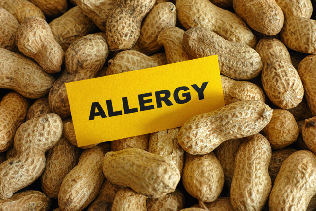 shutterstock_257253946 copy