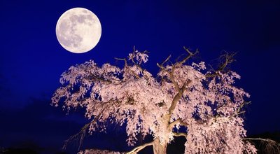 shutterstock_315391091