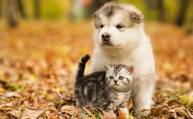 shutterstock_326379929 copy