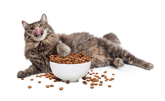 shutterstock_358973213 copy