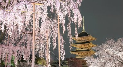 shutterstock_381636145