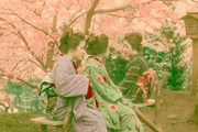 17位：【画像14枚】NY美術館所蔵の1800年代の日本の写真が美しいと海外で話題に！