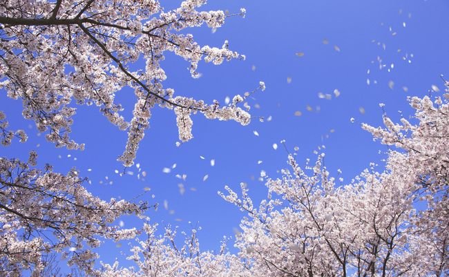 shutterstock_207654292