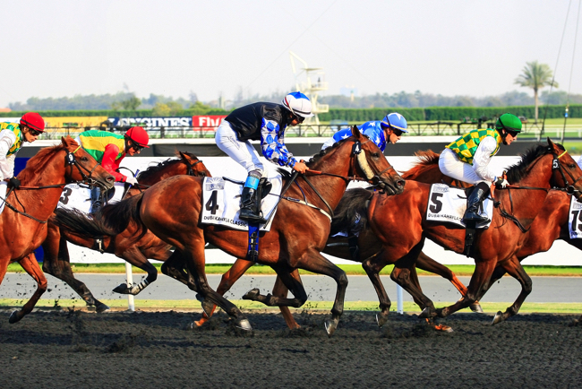 shutterstock_351389873 copy