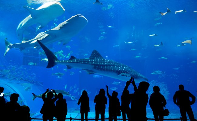 shutterstock_390533092