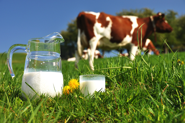 shutterstock_77208517 copy