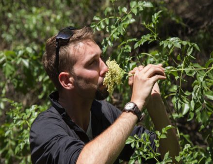 ShinrinYoku.Krauss.0231-1200x800 copy