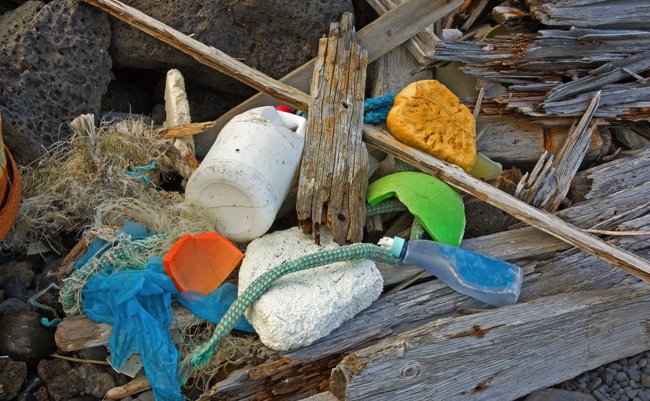 shutterstock_146652077 copy