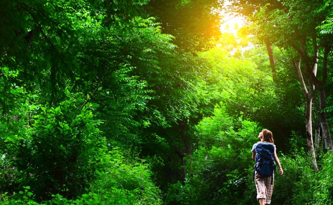 shutterstock_81279994 copy copy