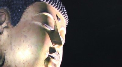 146469055220789700 copy