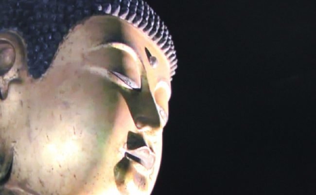 146469055220789700 copy