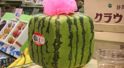 Square_watermelon