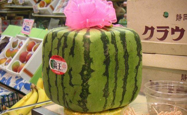 Square_watermelon