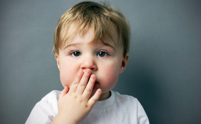 shutterstock_163194338