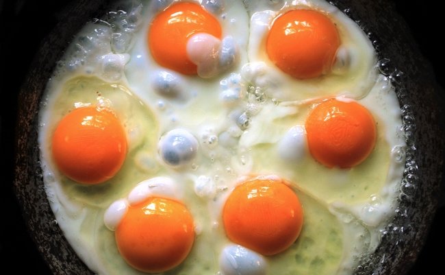 【朗報】卵は１日に１個以上食べて問題なし。むしろ若返りの効果も