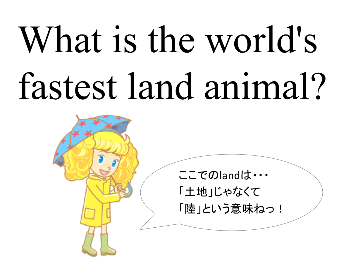 人気シリーズ 米国の小学生向けの英語クイズ いくつ解けるかな