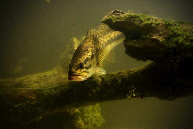 shutterstock_184256846 copy