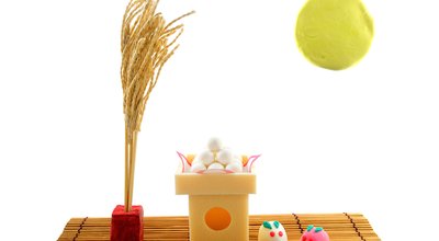 shutterstock_455898412