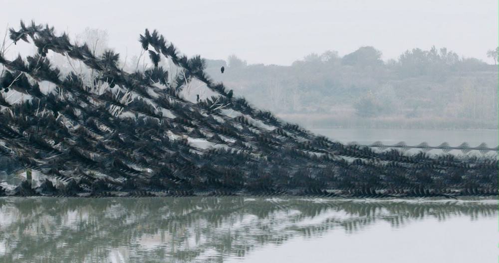 13923597_10155049035389186_8534292798768747222_o