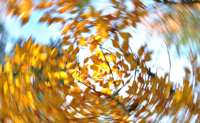 秋は特に「めまい」が増える季節、いったいなぜ？
