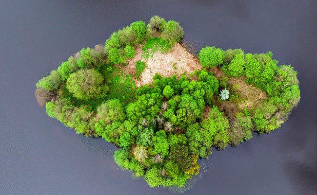 スクリーンショット 2016-11-18 17.42.20