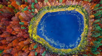 スクリーンショット 2016-11-18 17.43.28