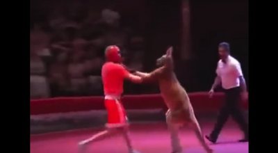 3cec07e9ba5f5bb252d13f5f431e4bbb-640x317 copy