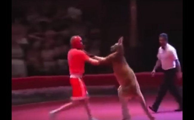 3cec07e9ba5f5bb252d13f5f431e4bbb-640x317 copy