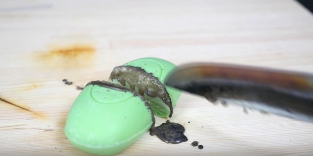 b1a59b315fc9a3002ce38bbe070ec3f5-640x319