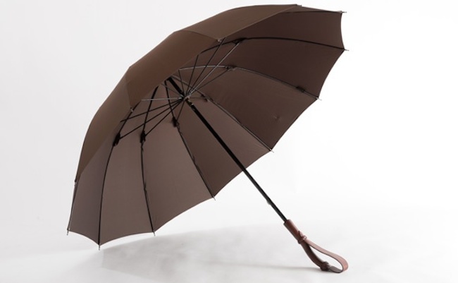 大きめ傘　定価3万円小物