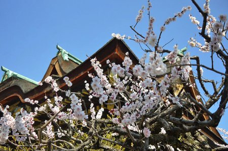 2 kitanotenmangu20170119