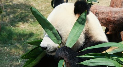 shutterstock_326615855