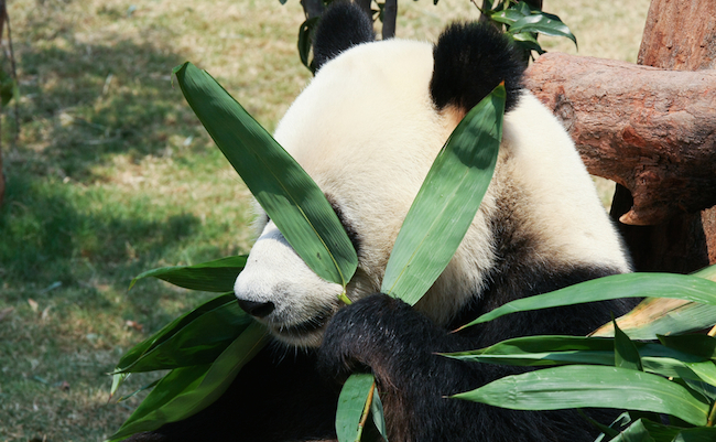 shutterstock_326615855